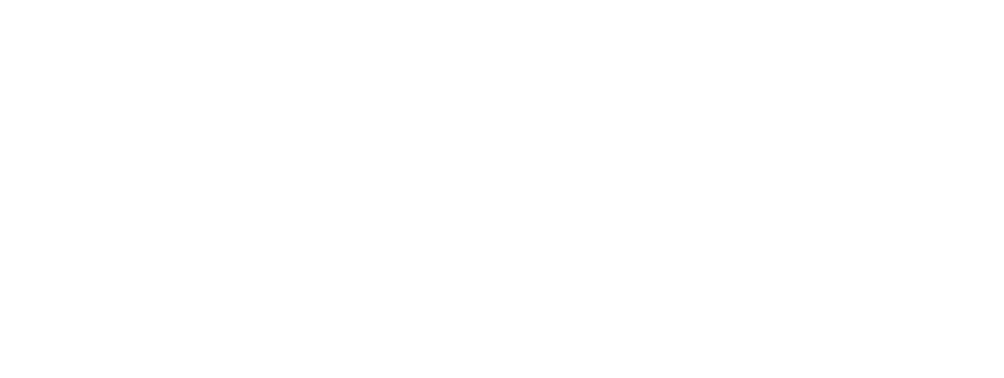 威廉姆斯公司的标志